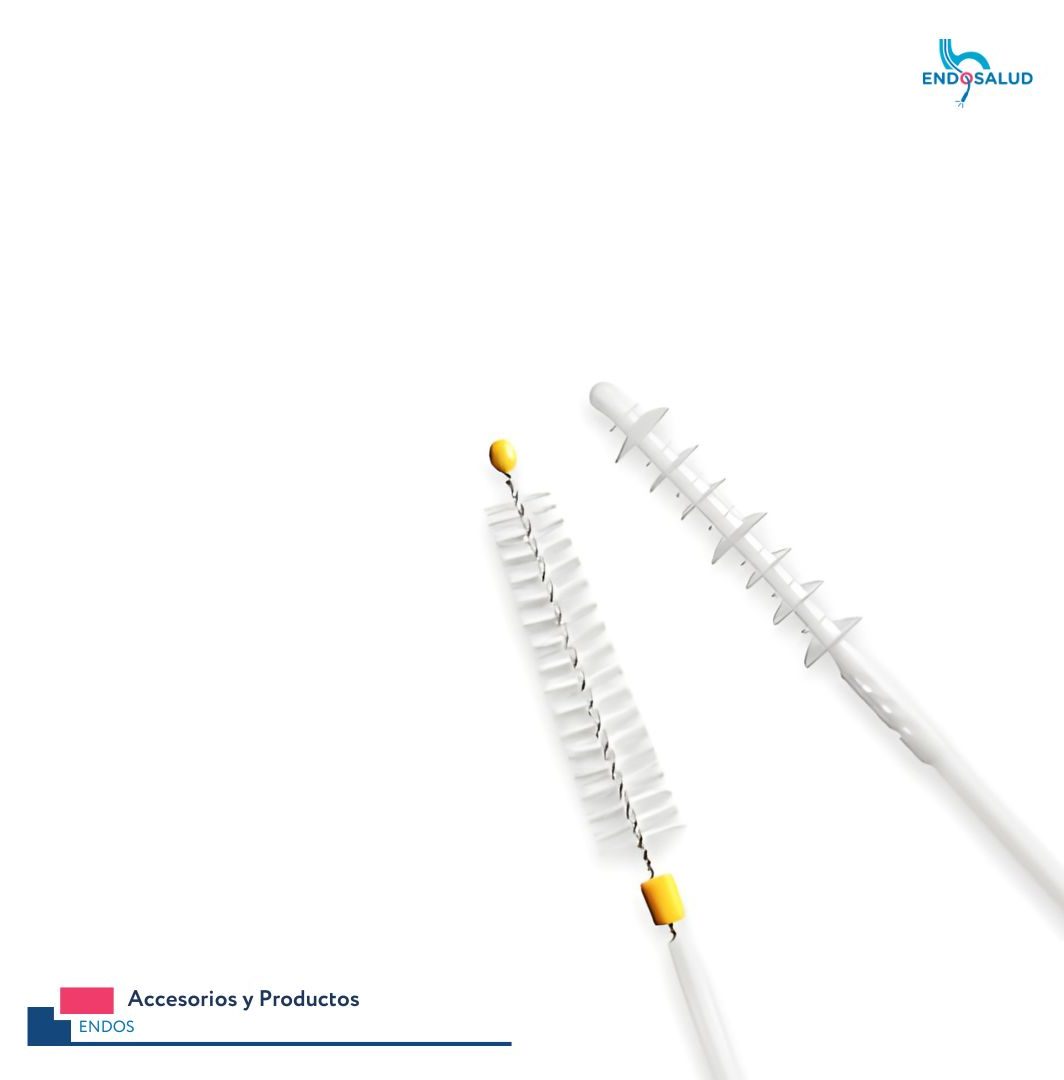 Cepillo de limpieza corto