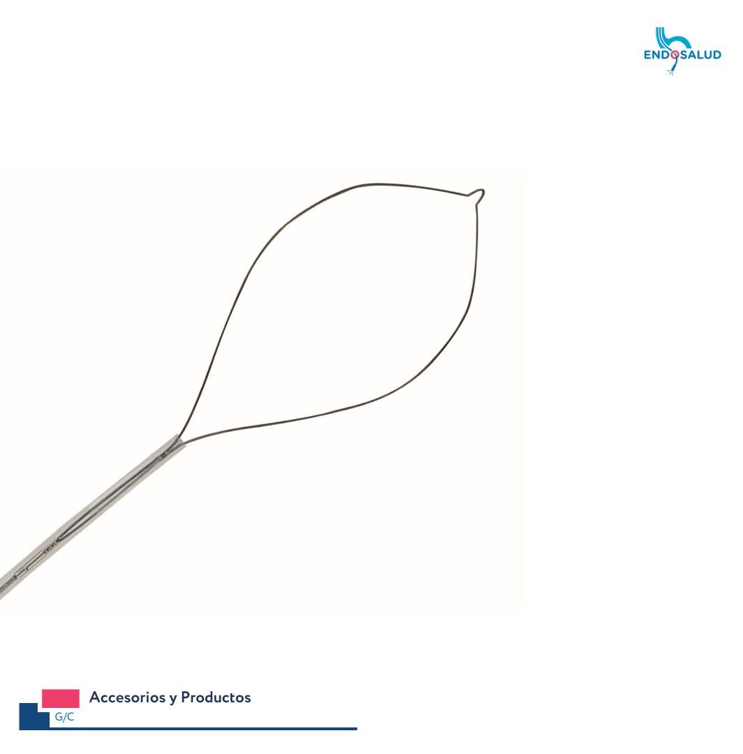 Asa de polipectomía caliente oval 30